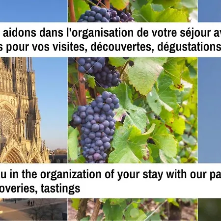 Centre - 3 & Terrasse - La Cle Des Sacres Apartment Reims