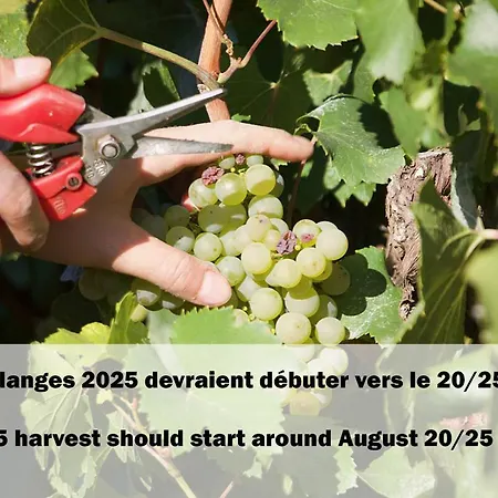 Centre - 3 & Terrasse - La Cle Des Sacres Lejlighed *