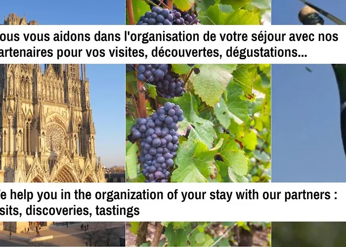 Centre - 3 & Terrasse - La Cle Des Sacres Apartment Reims